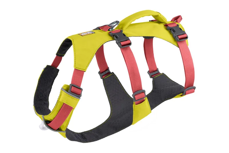 Ruffwear Flagline Dog Harness in Lichen Green